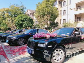 上海虹桥区租车服务 便捷出行，爱车无忧